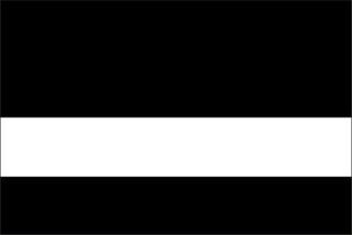 18_LaserBlack-White_LaserablesExterior thumbnail