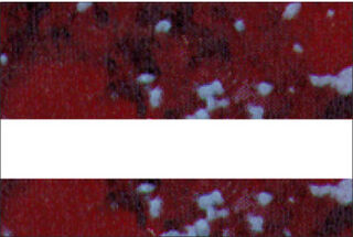 21_WildCranberryMarble-White_LaserablesExterior thumbnail
