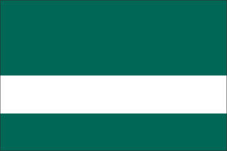 04_PineGreen-White_LasertuffTex thumbnail