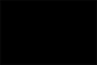 21Black_ADASignMaking thumbnail